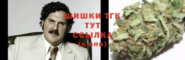 дмт Лагань